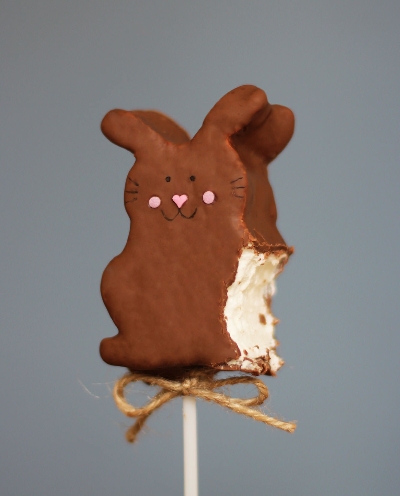 caramel-chocolate-marshmallow-bunny-pops-recipe-10