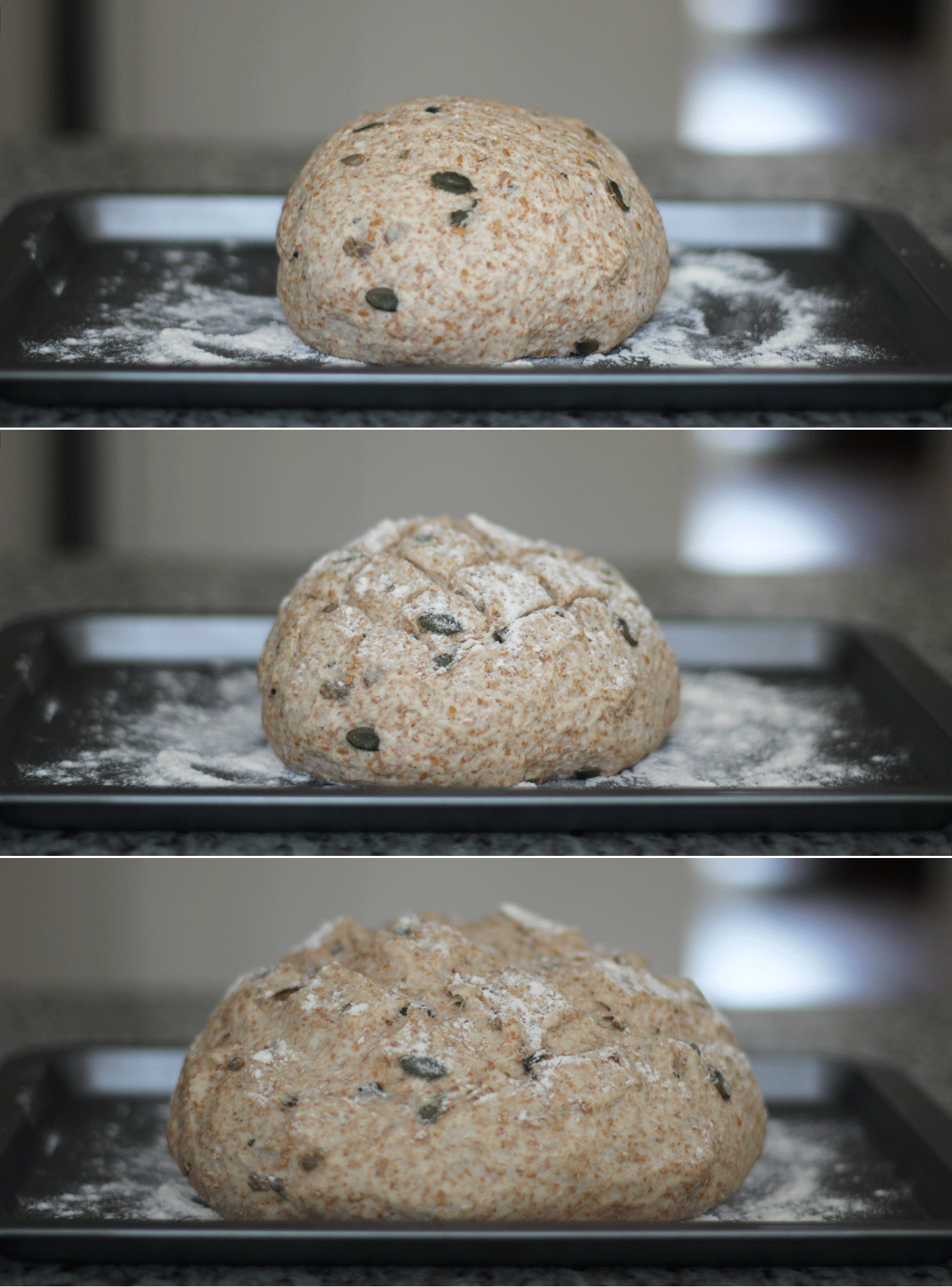 Granary-seeded-bread-recipe-7
